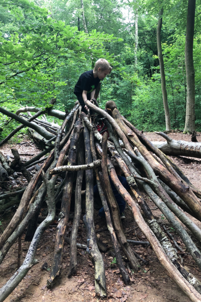 Geburtstag im Wald