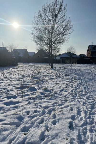 Schneepsaziergang im Viertel