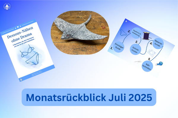 Monatsrückblick Juli 2025
