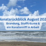 Monatsrückblick August 2025