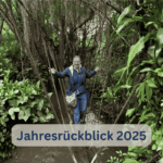 Jahresrückblick 2025