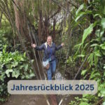 Jahresrückblick 2025