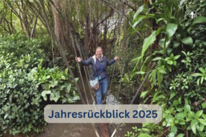 Jahresrückblick 2025