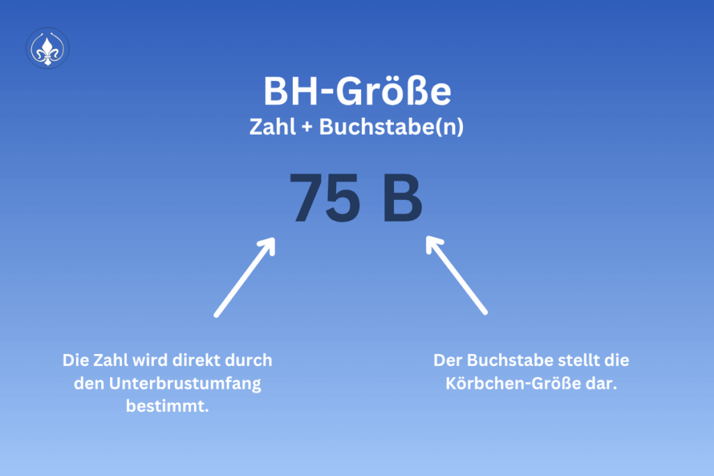 Deine BH-Größe stimmt und trotzdem passt nichts? Genau daran liegt es 3 Blogartikel 64 BH Groesse Uebersicht
