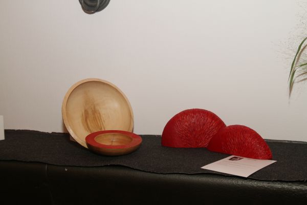 065 Ausstellung 8