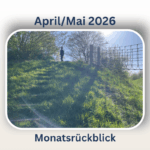 Monatsrückblick April mai 2026 Gras bewachsener Hügel mit einer Person