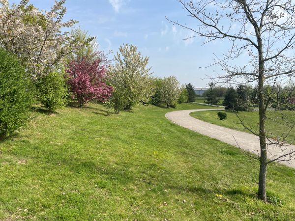 065 Fruehling schoene Heimat
