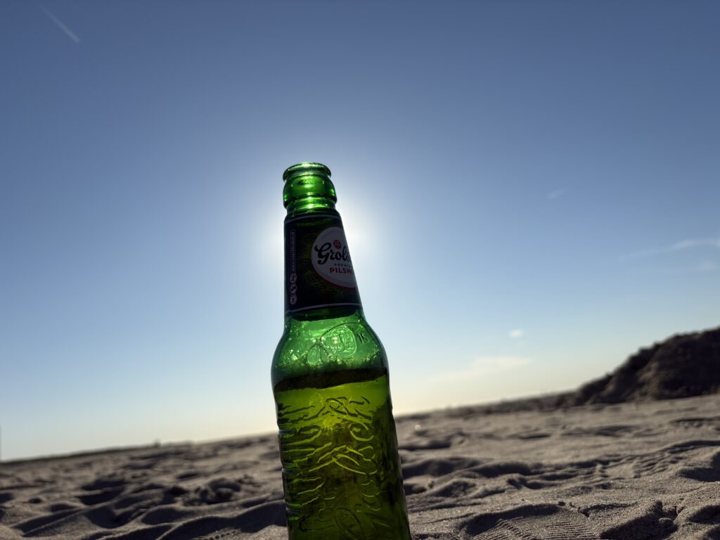 66 Sonnenfinsternis am Strand