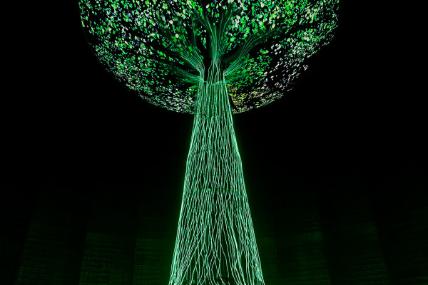 66 der baum foto thomas wolf twx 4803 dxo3 kopie001 600x400 crop 1